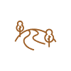 Nature Walk Icon
